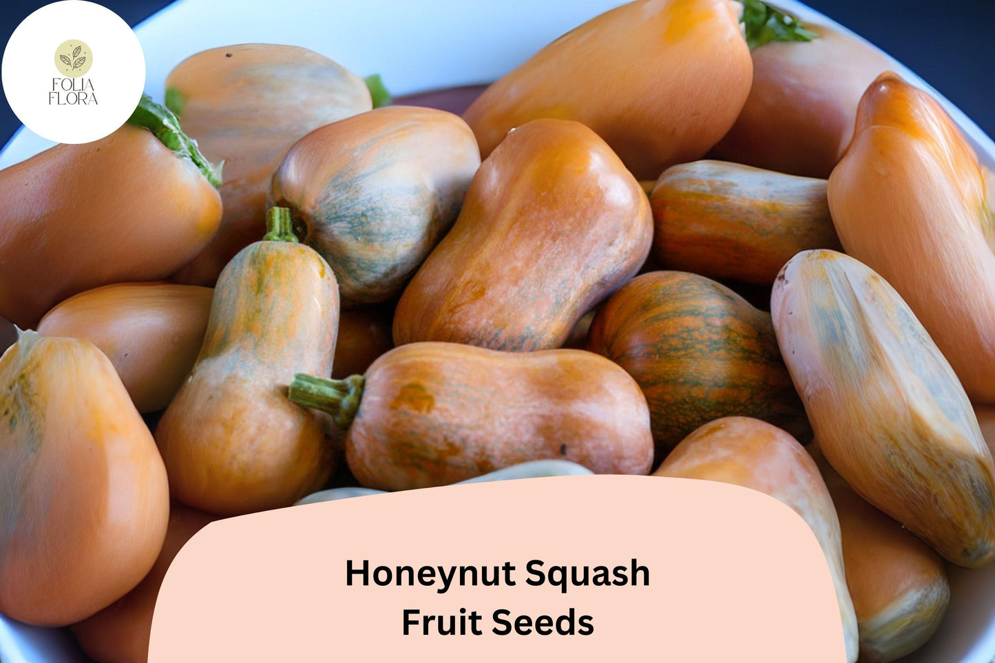 25+ Honeynut Squash Seeds | Sweet Mini Butternut | Heirloom Winter Squash | Cucurbita moschata | Compact Garden Plants