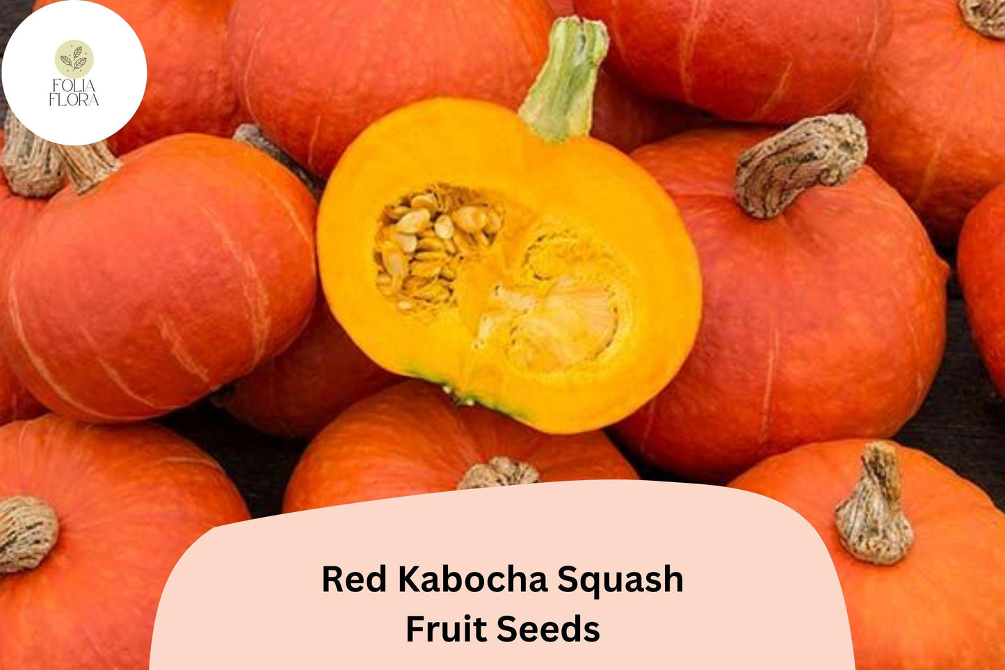 Red Kabocha Squash Seeds | 25+ Japanese Winter Variety | Cucurbita maxima | Sweet Nutty Flavor, Red-Orange Rind, Golden Flesh