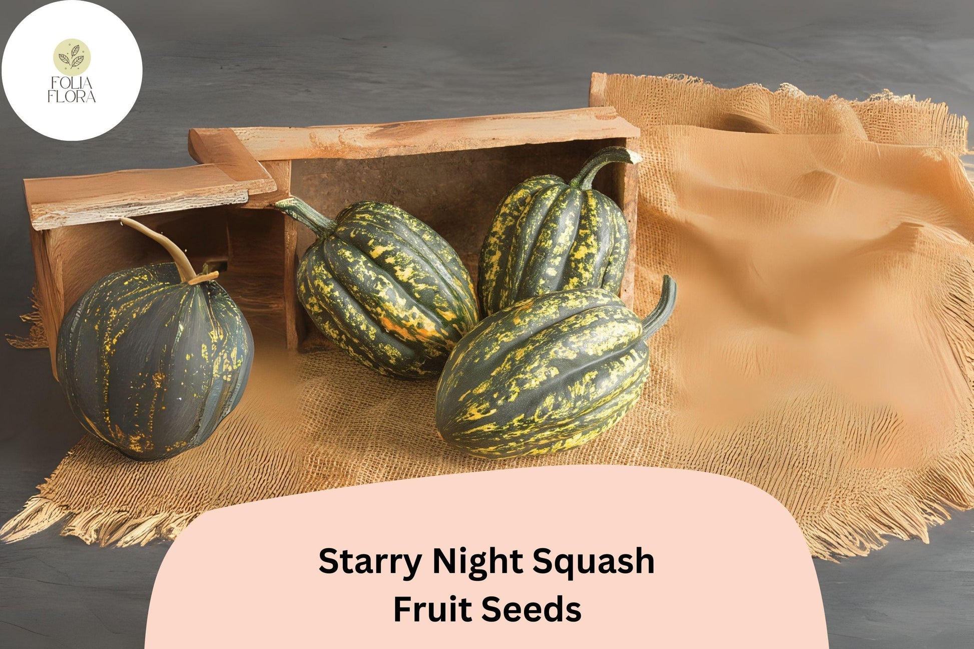 Starry Night Acorn Squash Seeds | 25+ Speckled Winter Squash Seeds | Cucurbita pepo | Dark Green with Yellow Speckles