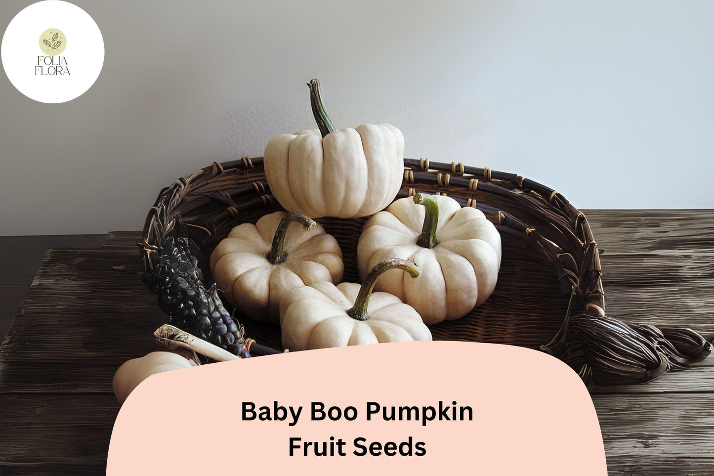 Baby Boo Pumpkin Seeds | Mini White Pumpkins | Cucurbita pepo | 25+ Heirloom Seeds for Fall Decor and Crafts