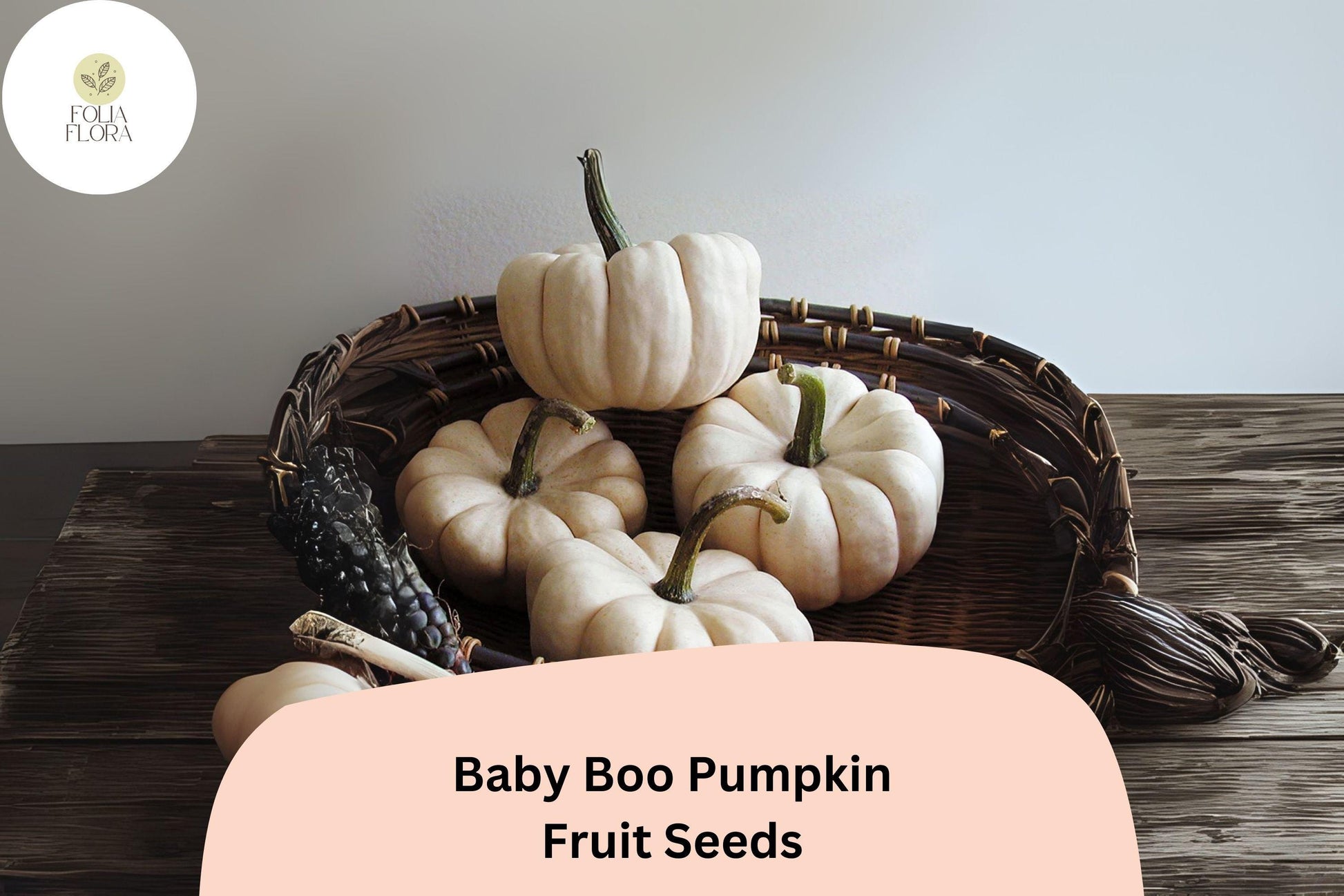 Baby Boo Pumpkin Seeds | Mini White Pumpkins | Cucurbita pepo | 25+ Heirloom Seeds for Fall Decor and Crafts