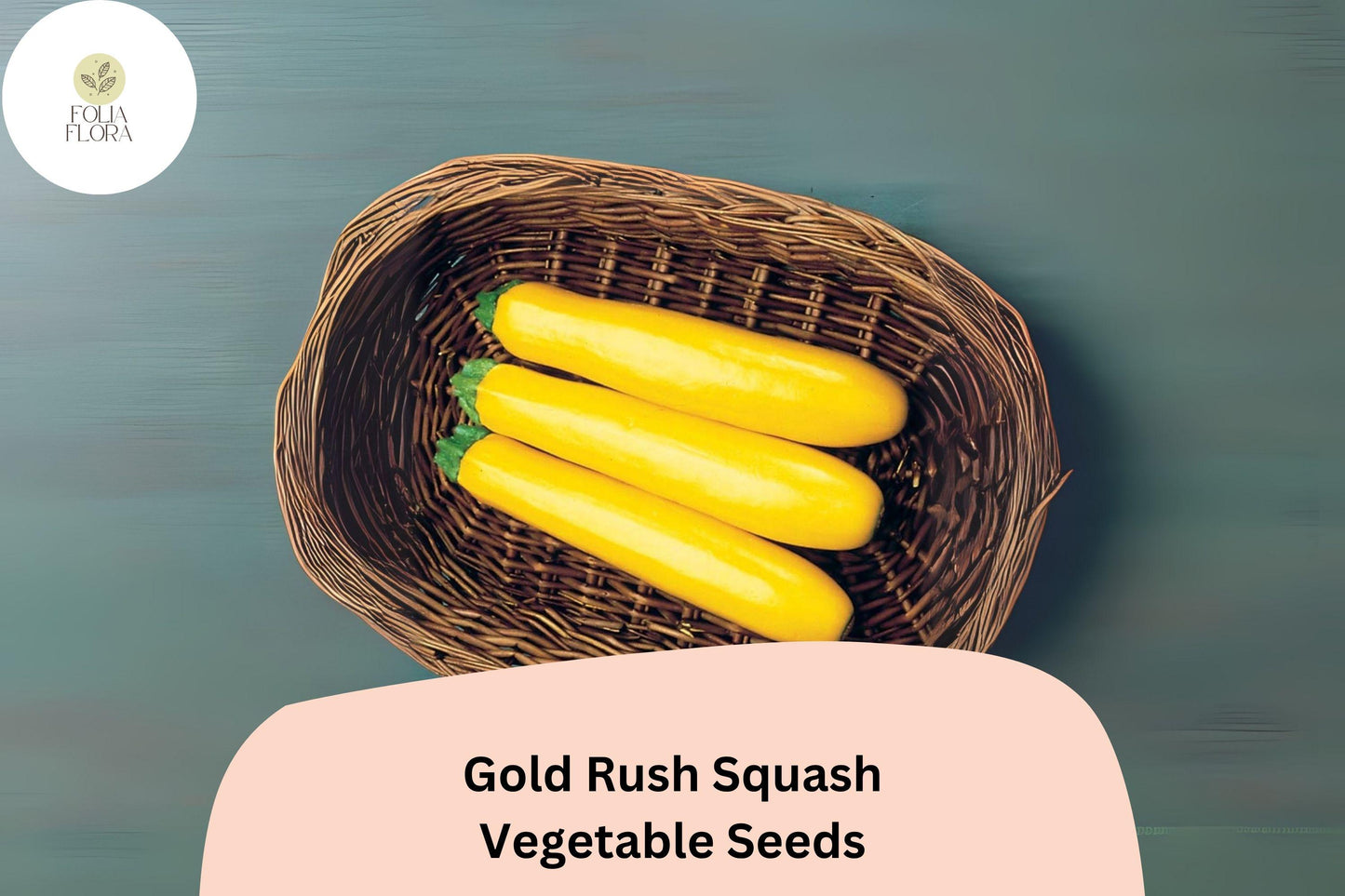 Gold Rush Zucchini Seeds - 25+ Hybrid Summer Squash Seeds (Cucurbita pepo 'Gold Rush') - High-Yield Golden Yellow Zucchini