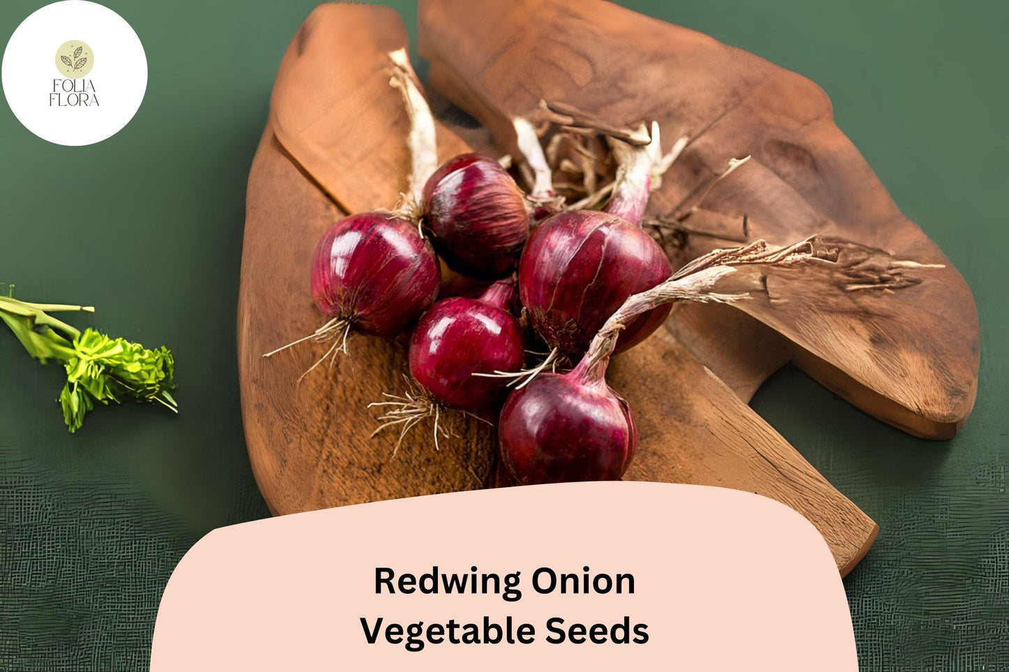 500+ Redwing Onion Seeds | Deep Red Bulbs | Allium cepa | Long Storage, Firm Texture, Great for Cooking & Salads