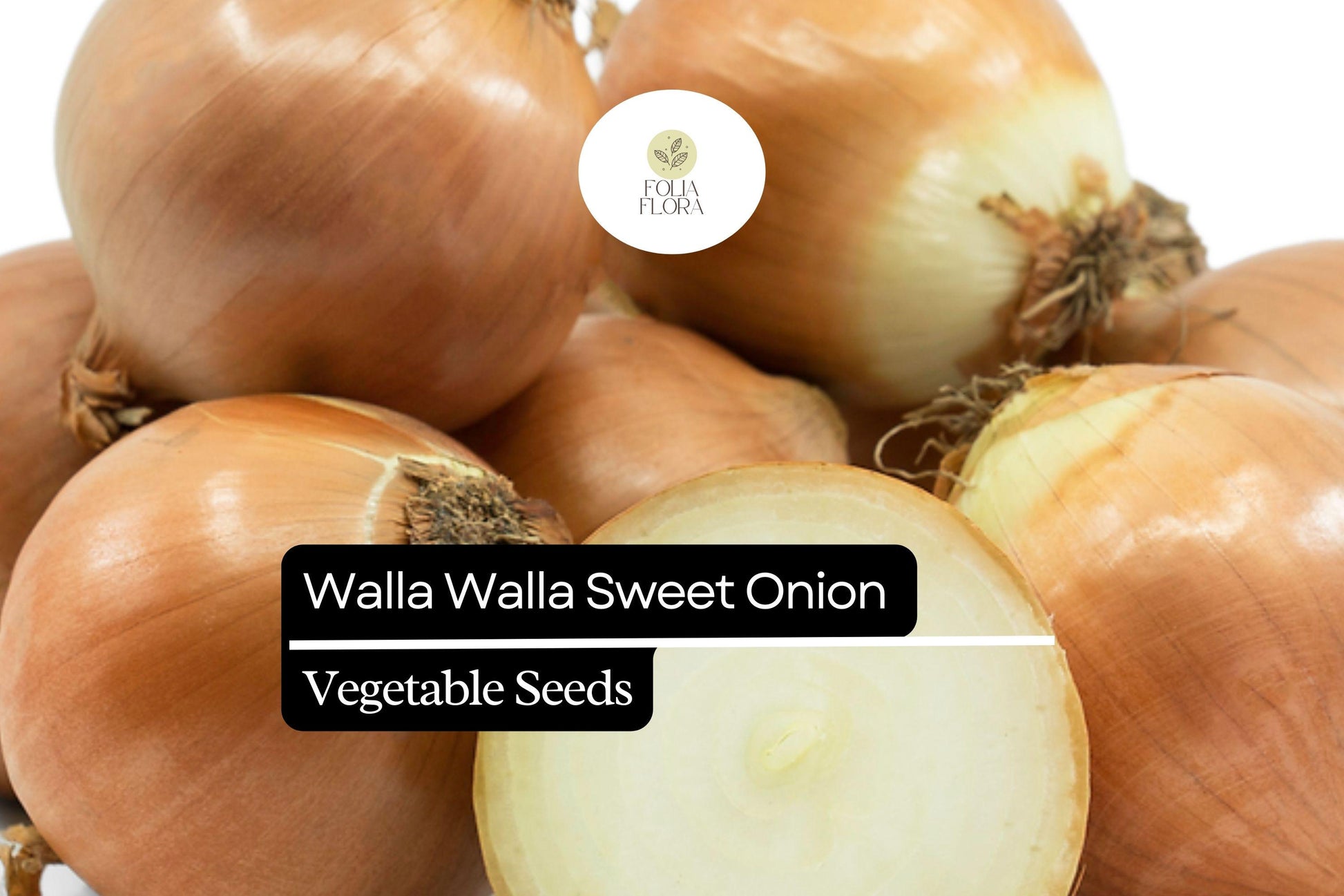 Walla Walla Sweet Onion Seeds | 500+ Heirloom Seeds | Allium cepa | Large Bulbs, Mild Flavor, Perfect for Grilling & Roasting