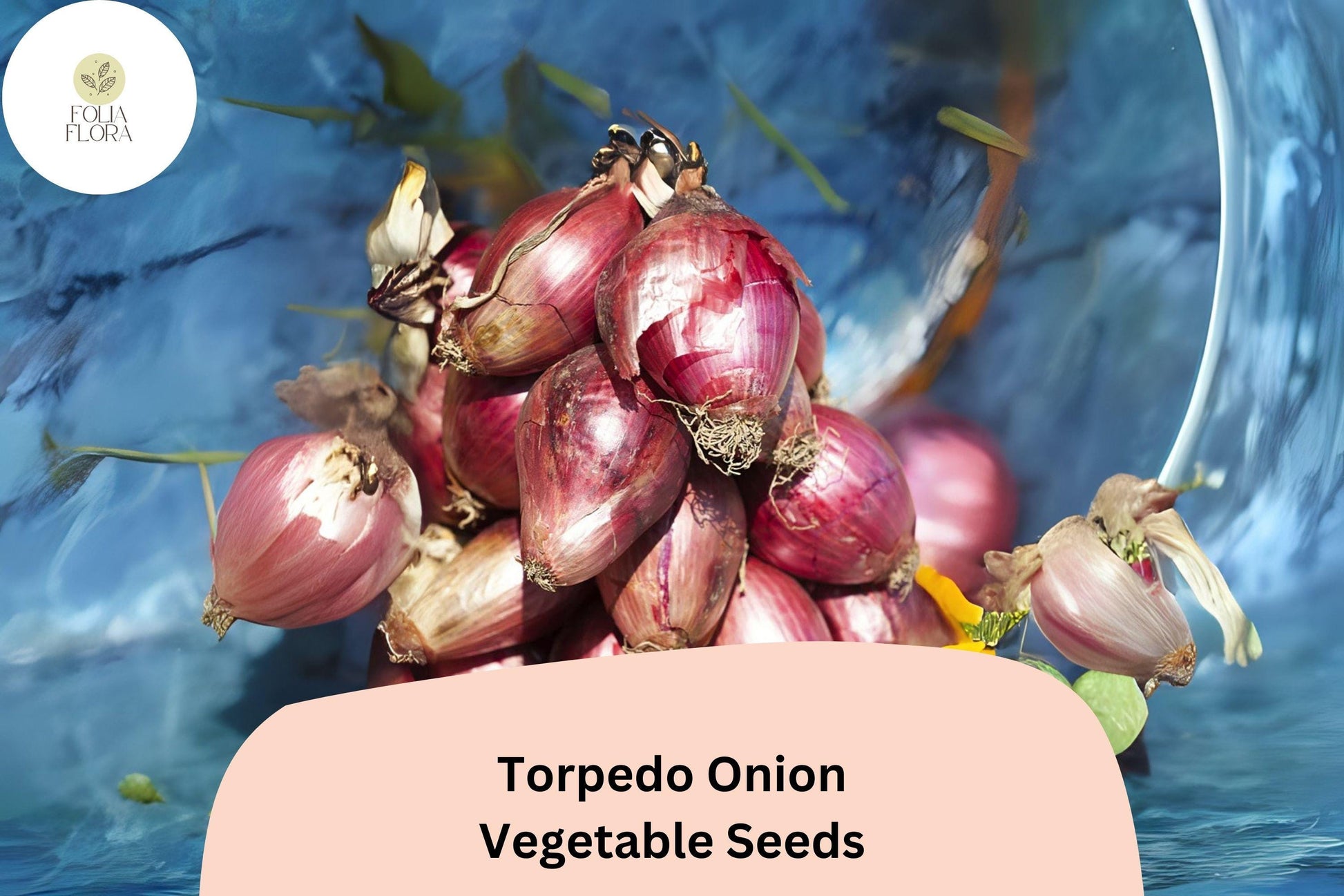 Torpedo Onion Seeds | 500+ Heirloom Italian Red Onion | Allium cepa | Mild Flavor, Rosy-Red Skin, Easy to Grow
