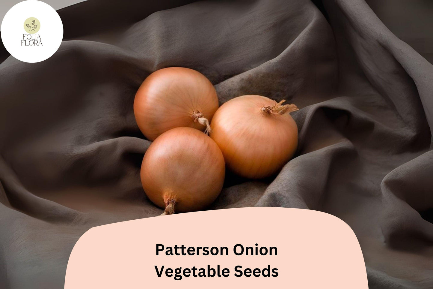 Patterson Onion Seeds | 500+ Long-Day Golden Yellow Heirloom | Allium cepa | Uniform Bulbs, Excellent Storage
