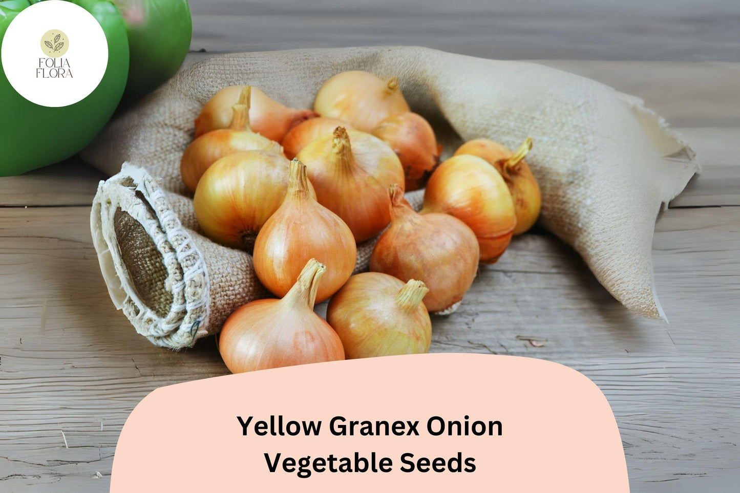 Yellow Granex Onion Seeds | 500+ Seeds | Sweet Garden Variety | Allium cepa | Golden Skin, Mild Flavor