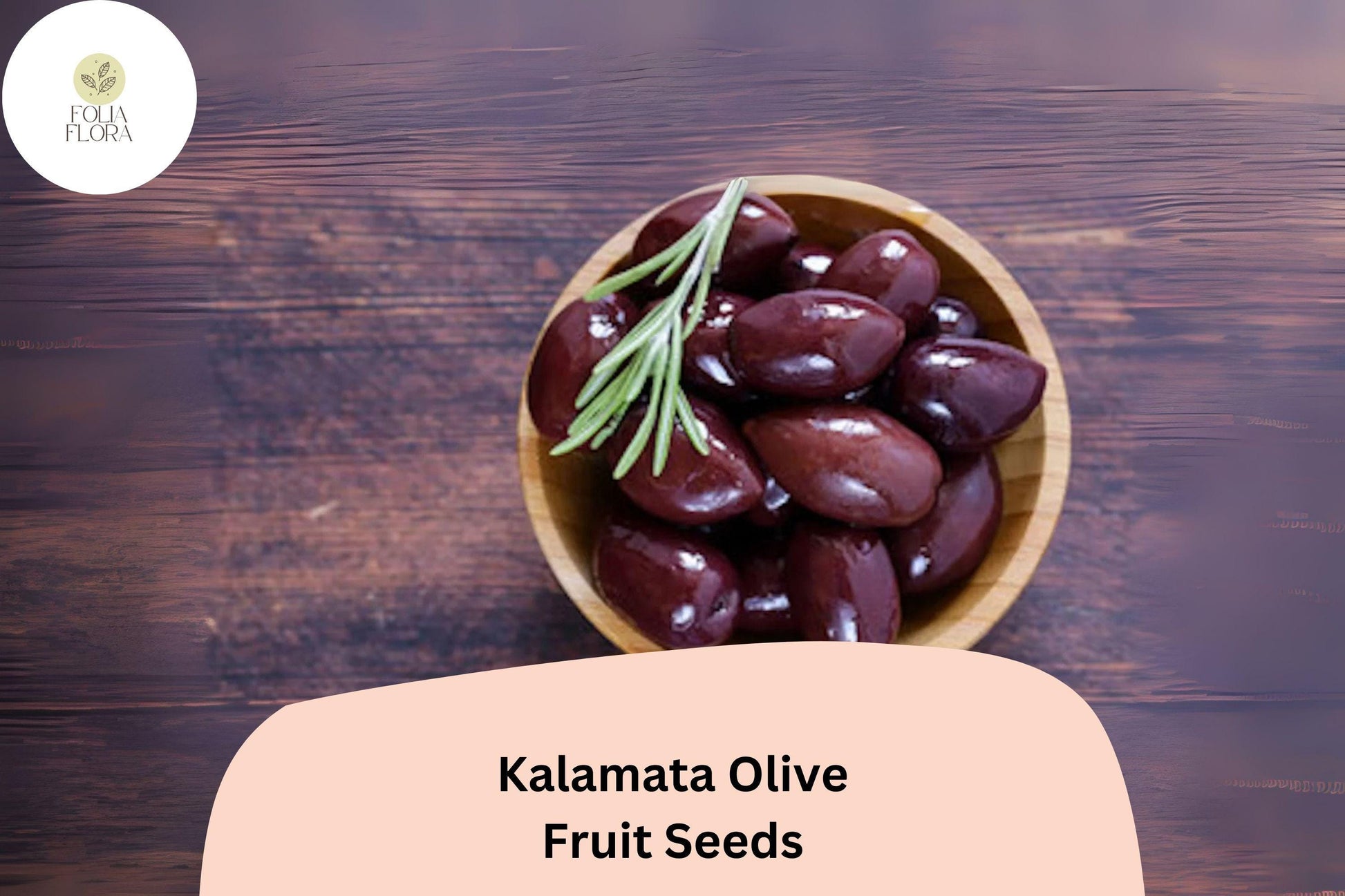 Kalamata Olive Seeds - 10+ Premium Olea europaea Greek Variety for Mediterranean Gardens, Drought-Tolerant with Silvery-Green Foliage