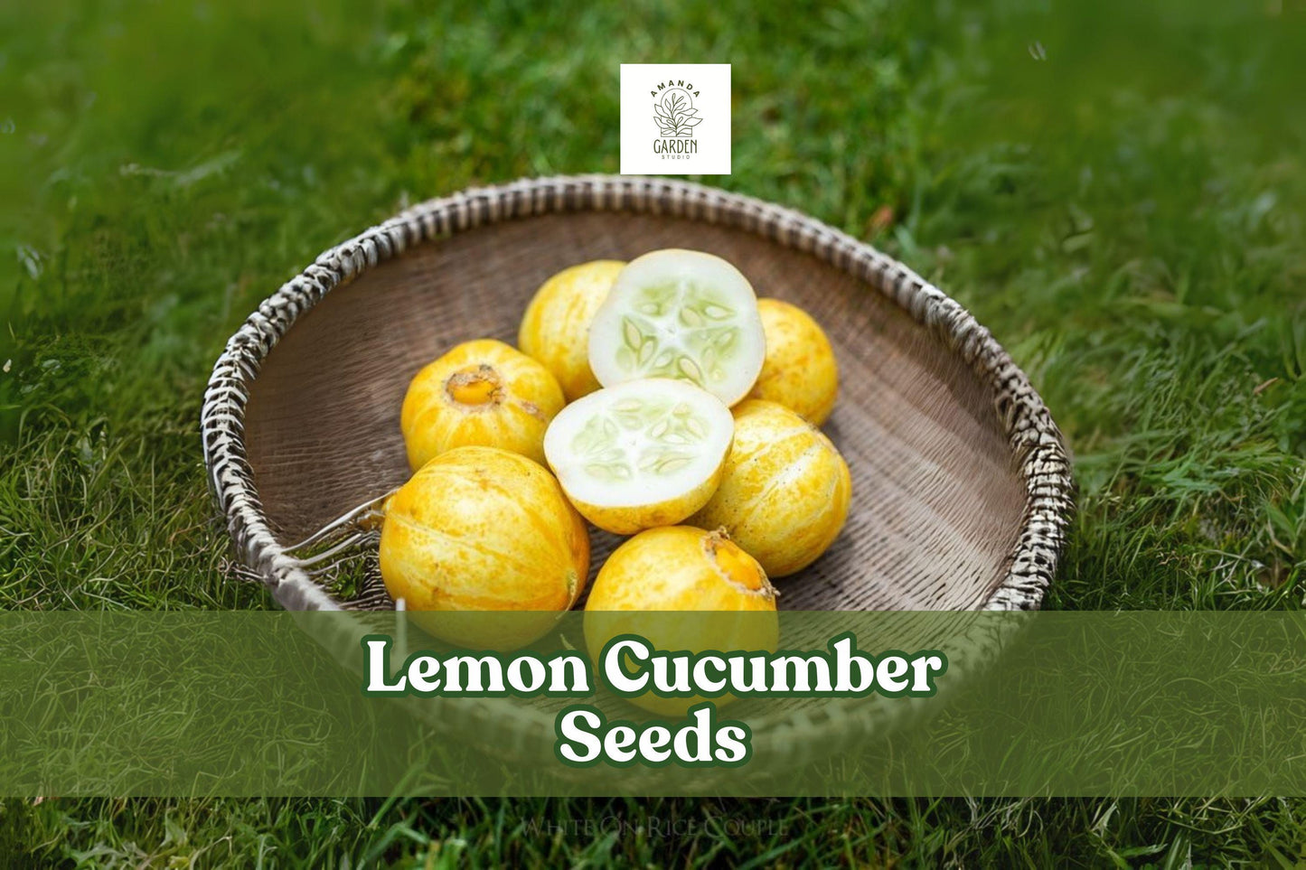 Lemon Cucumber Seeds - 100 Heirloom Seeds for Yellow Cucumbers - Cucumis sativus var. melo - Perfect for Gardens and Containers