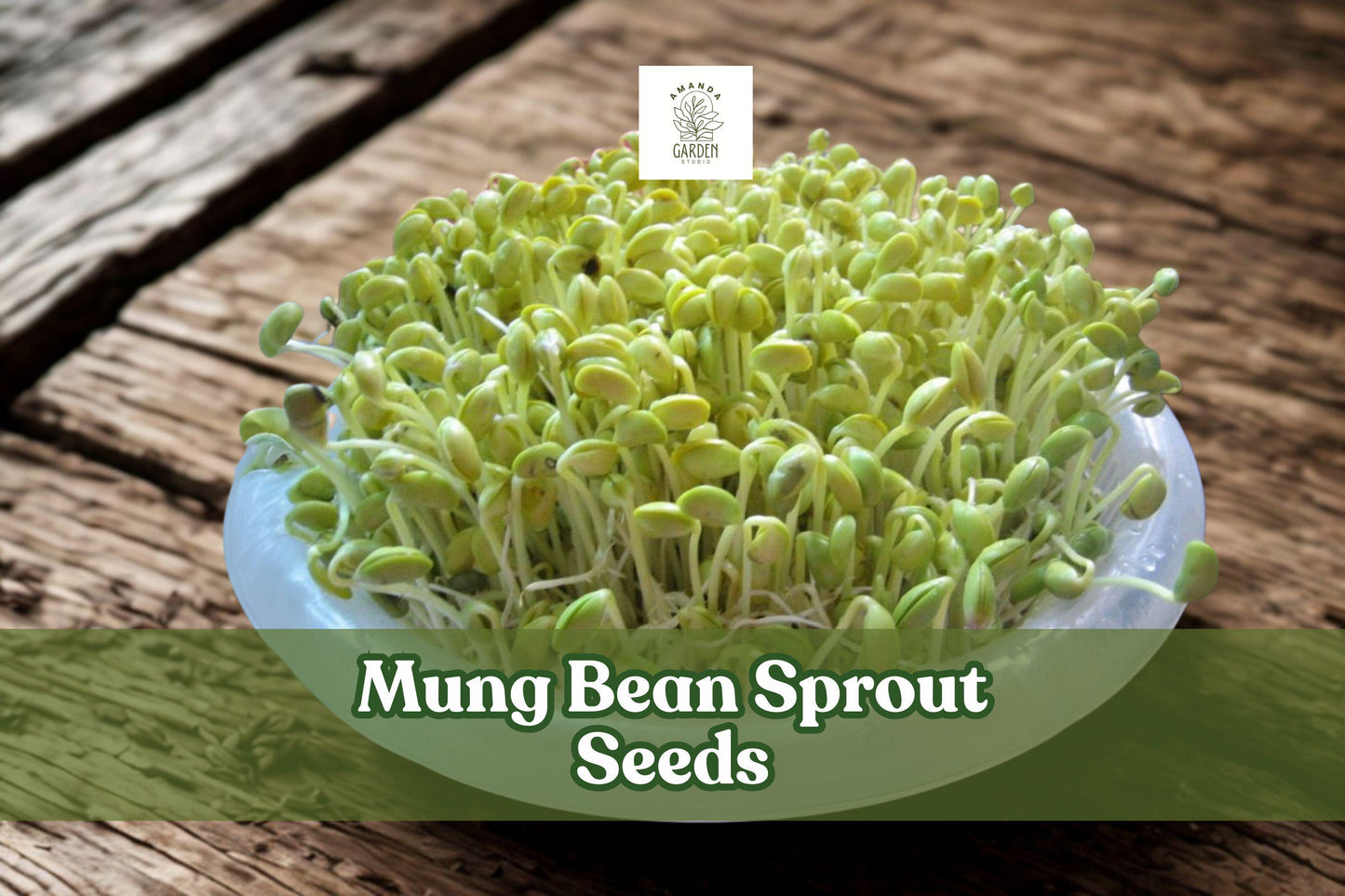 100 Mung Bean Sprout Seeds – Vigna radiata – Easy Grow Edible Sprouts for Salads & Stir-Fries, Indoor Hydroponic Sprouting