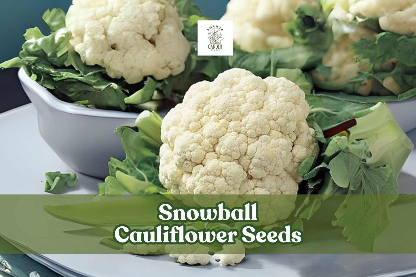 100 Snowball Cauliflower Seeds – Heirloom Variety Brassica oleracea – Easy to Grow White Heads for Home Garden