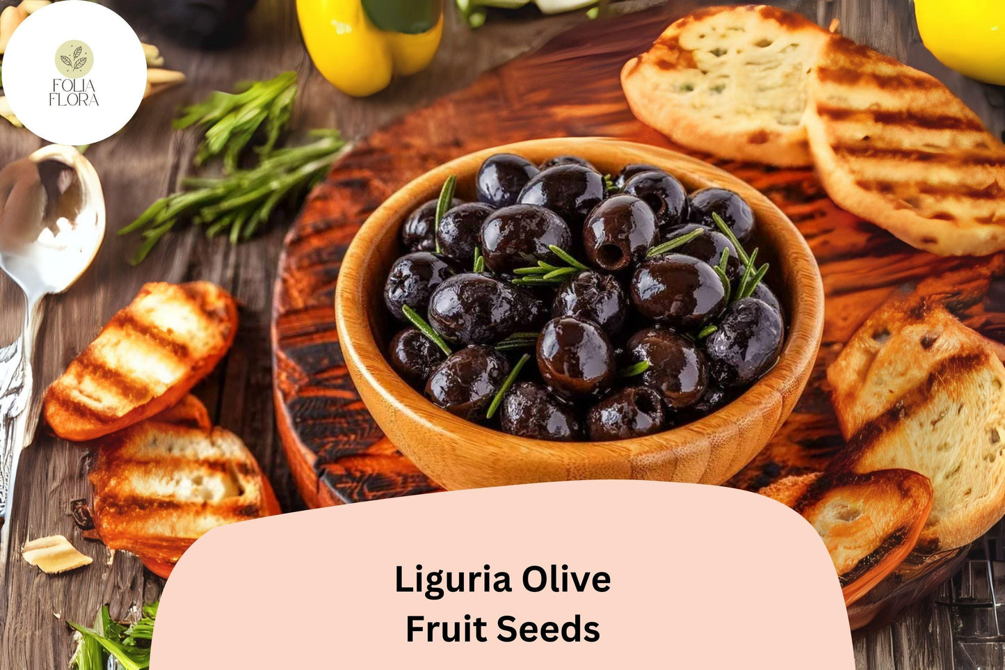 Liguria Olive Tree Seeds | 10+ Italian Olea europaea | Drought-Tolerant, Silvery-Green Foliage for Bonsai & Gardens