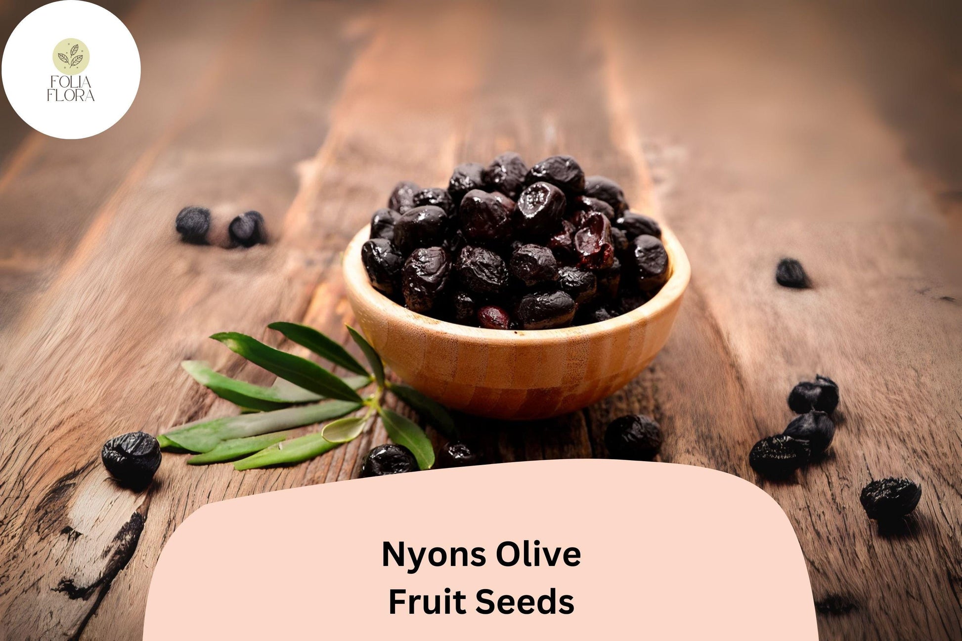 Nyons Olive Seeds | 10+ Heirloom Seeds | Olea europaea | Drought-Tolerant, Mediterranean Garden, Bonsai, Evergreen Foliage