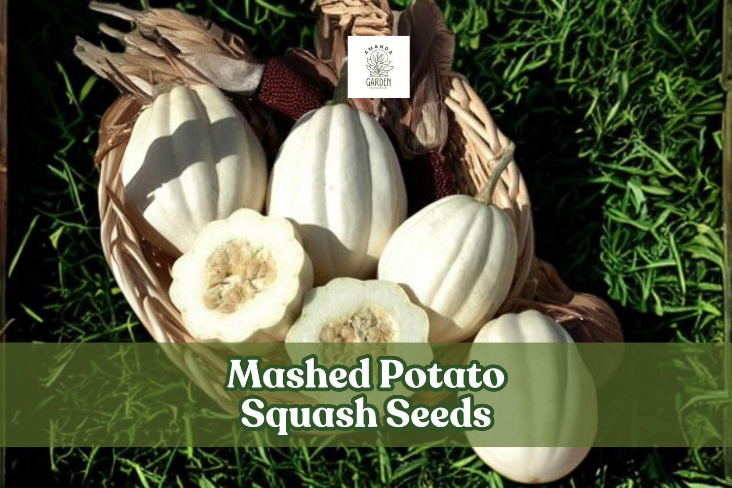 Mashed Potato Squash Seeds - 10 Pack - Unique White Gourmet Winter Squash - Cucurbita pepo for Home Gardening