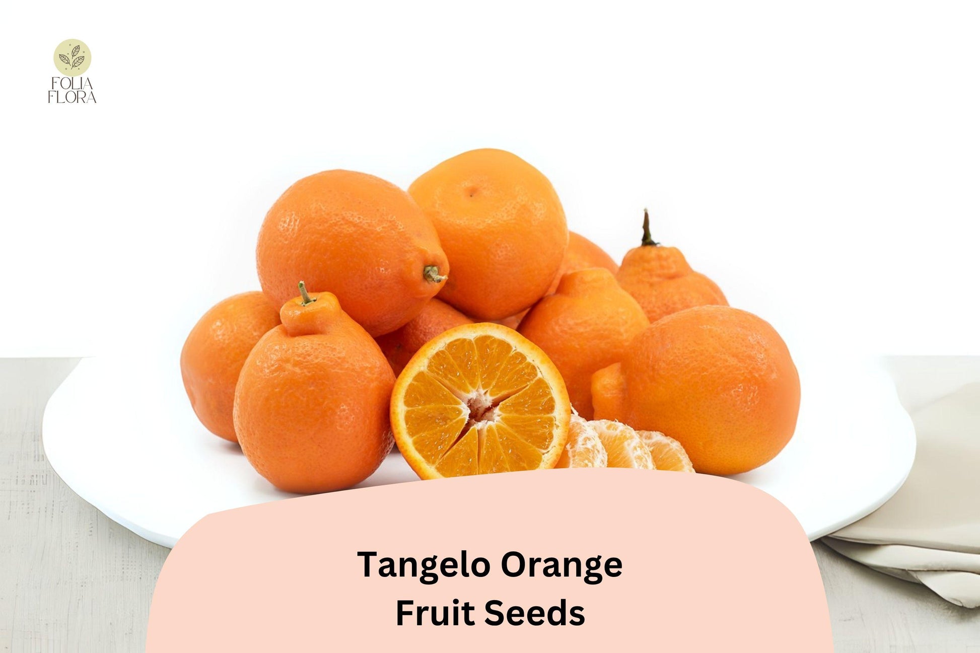 Tangelo Orange Seeds - 5+ Sweet-Tart Citrus Hybrid (Citrus × tangelo) for Home Gardening, Container Growing, USDA 9-11