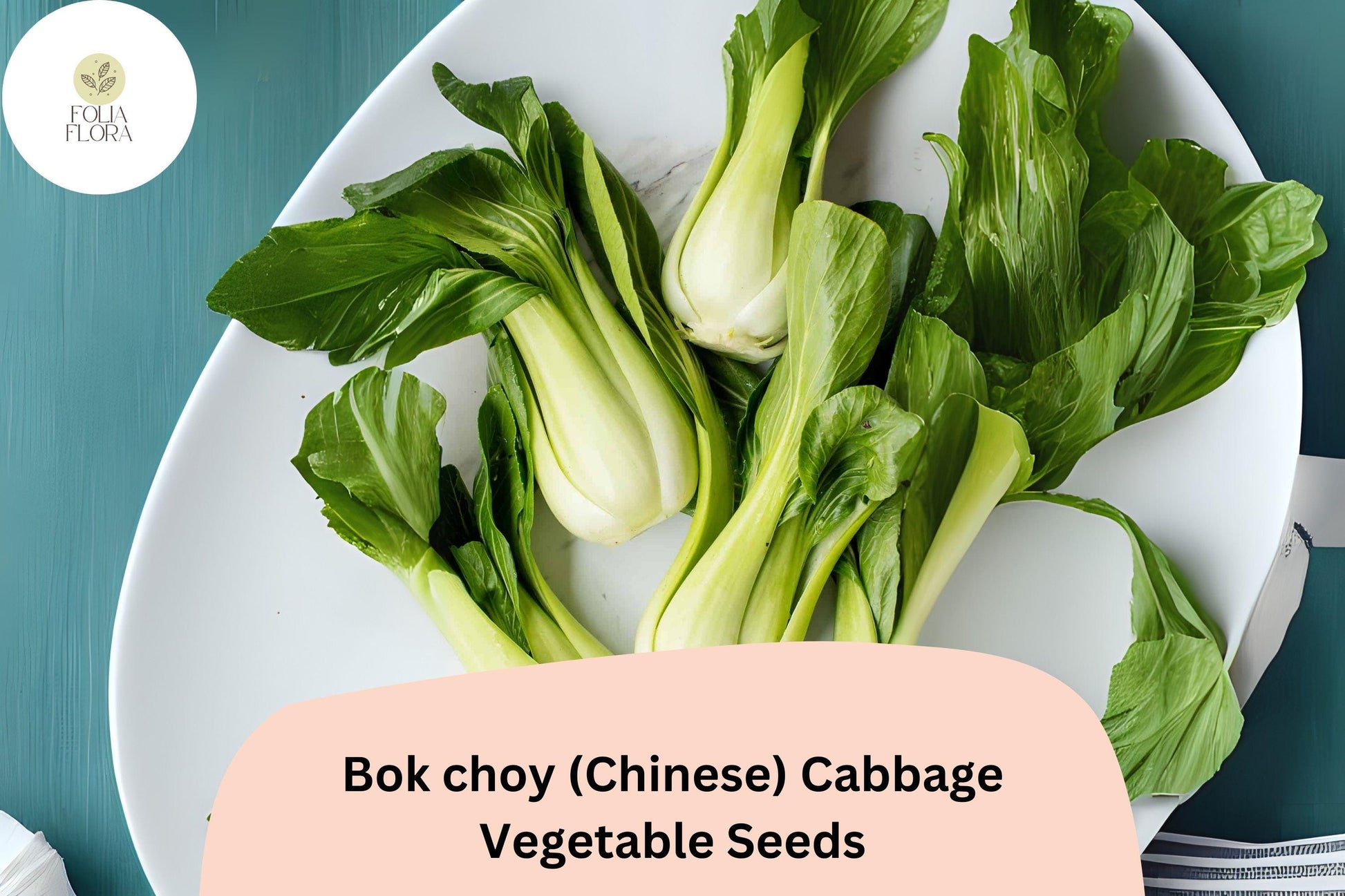 Bok Choy Seeds 500+ Heirloom Chinese Cabbage Brassica rapa var. chinensis for Garden Planting, Fast-Growing Asian Vegetable