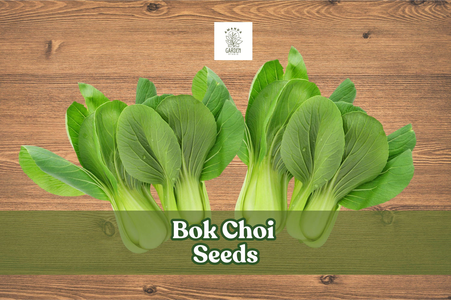 Bok Choi Seeds - 100 Count - Brassica rapa chinensis - Non-GMO Chinese Cabbage for Stir-Fries, Soups, and Salads