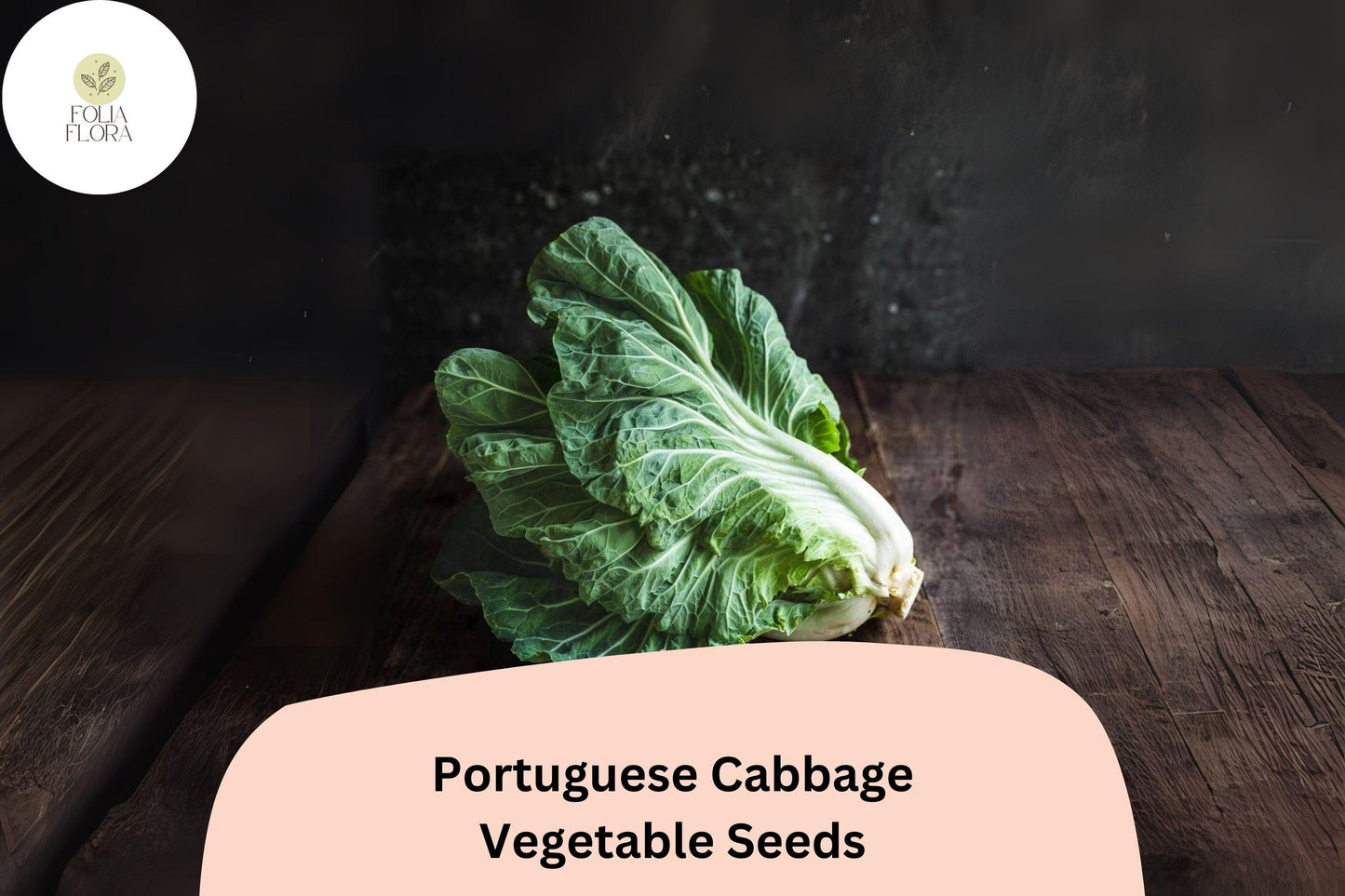 500+ Portuguese Cabbage Seeds | Brassica oleracea | Heirloom Vegetable Seeds for Garden Planting | Mediterranean Favorite