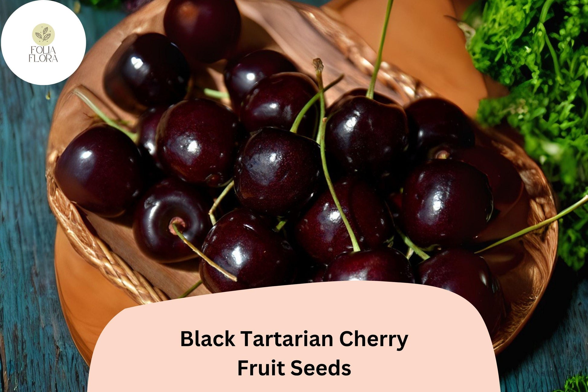 Black Tartarian Cherry Tree Seeds - 10+ Premium Seeds, Sweet Dark Fruit, Prunus avium ‘Black Tartarian’ for Gardens & Orchards