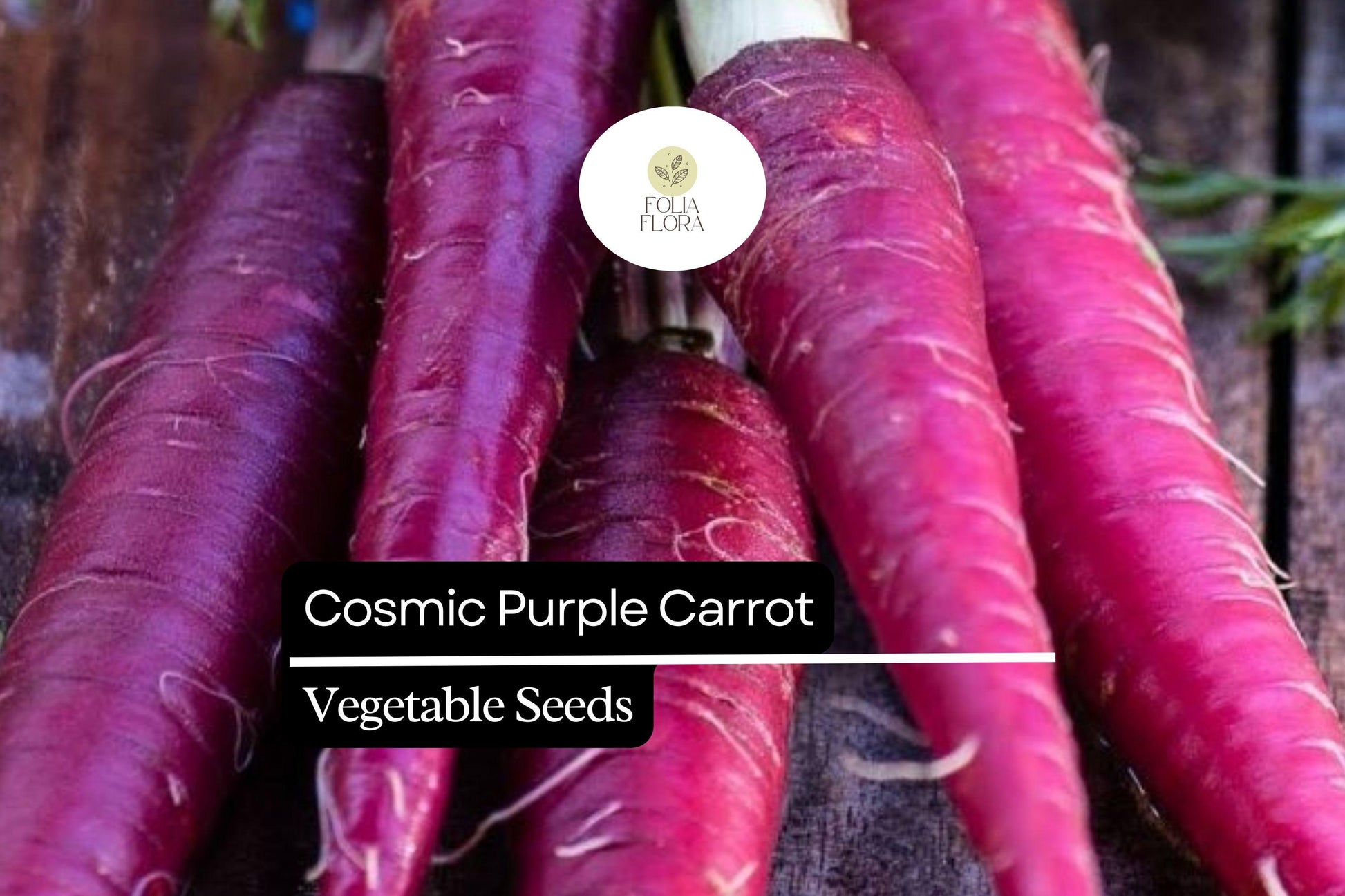 Cosmic Purple Carrot Seeds - 1000+ Heirloom Vegetable Seeds, Daucus carota subsp. sativus 'Cosmic Purple', Deep Purple with Orange Core