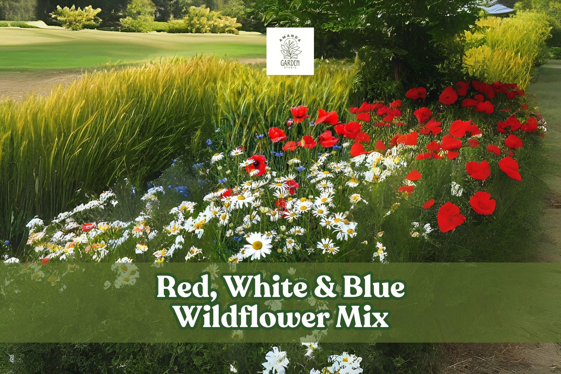 Wildflower Seed Mix - 200 Seeds - Red White Blue - Patriotic Garden - Annual & Perennial Blend - Attracts Pollinators