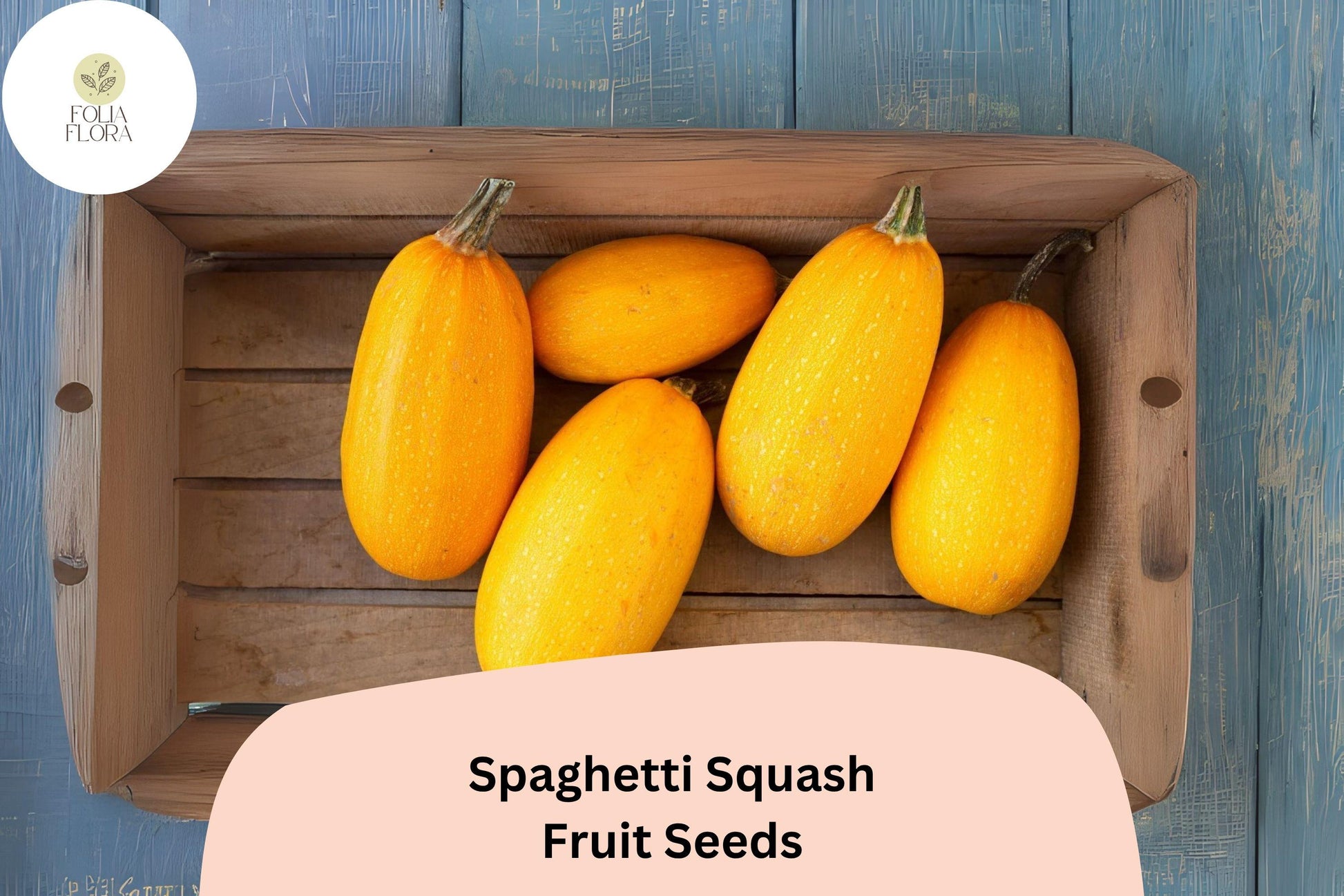 Spaghetti Squash Seeds - 25+ Premium Seeds for Nutritious Pasta Alternative - Cucurbita pepo ‘Spaghetti’ - Golden Yellow Fruits