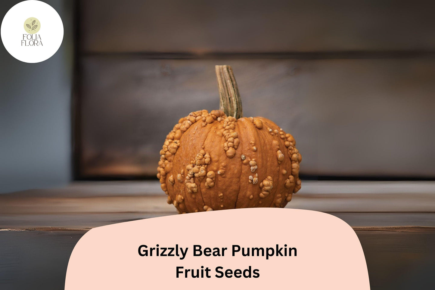 Grizzly Bear Pumpkin Seeds - 25+ Rare Brown-Orange Heirloom (Cucurbita maxima) for Baking & Fall Decor