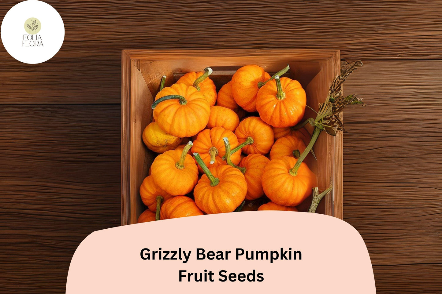 Jack Be Little Pumpkin Seeds | 25+ Heirloom Miniature Orange Pumpkins | Cucurbita pepo | Ideal for Fall Decor & Crafts