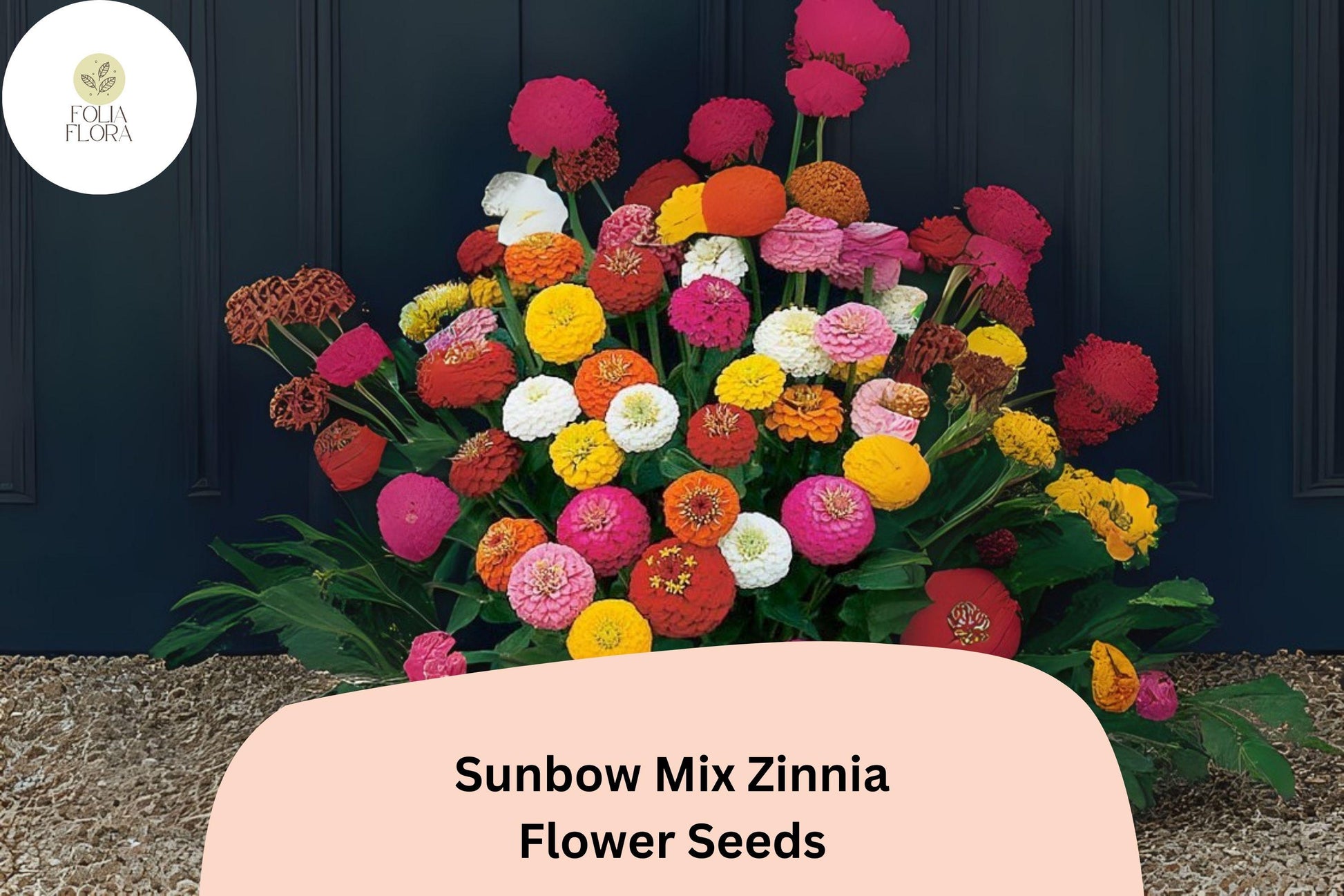 Zinnia Seeds - 100+ Sunbow Mix Heirloom - Vibrant Non-GMO Flowers - Zinnia elegans - Easy to Grow, Attracts Pollinators