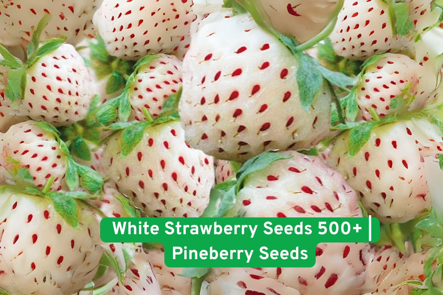 Pineberry Seeds - 300+ White Strawberry Seeds - Unique Pineapple Flavor - Fragaria × ananassa