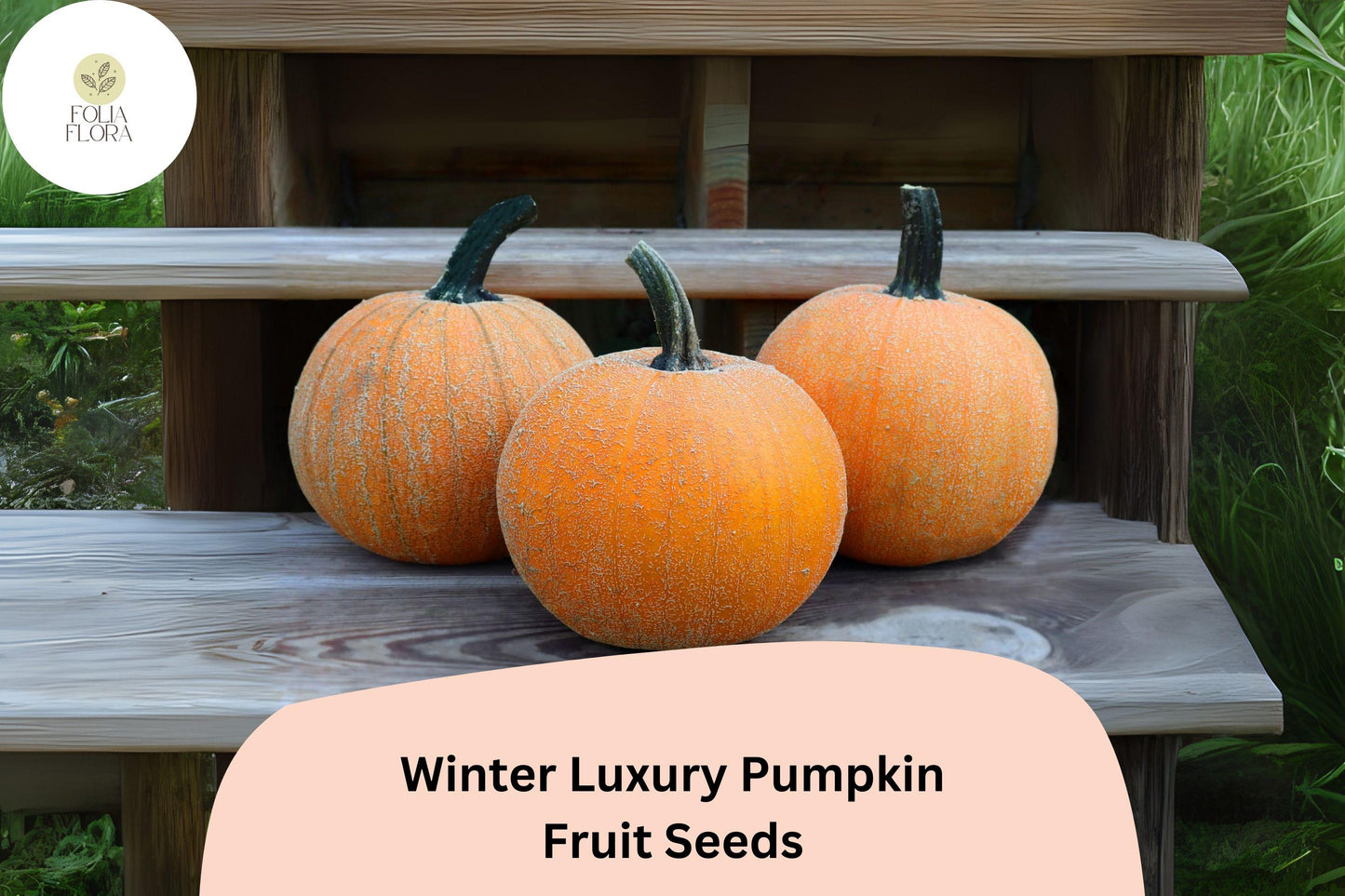Winter Luxury Pumpkin Seeds (25+) | Heirloom Variety for Baking | Cucurbita pepo | Sweet Flesh, Buff-Orange, Netted Skin