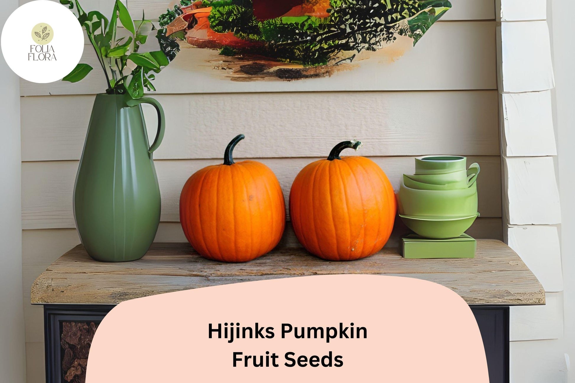 Hijinks Pumpkin Seeds | 25+ Bright Orange Mini Pumpkins | Cucurbita pepo | Award-Winning Fall Decor & Baking