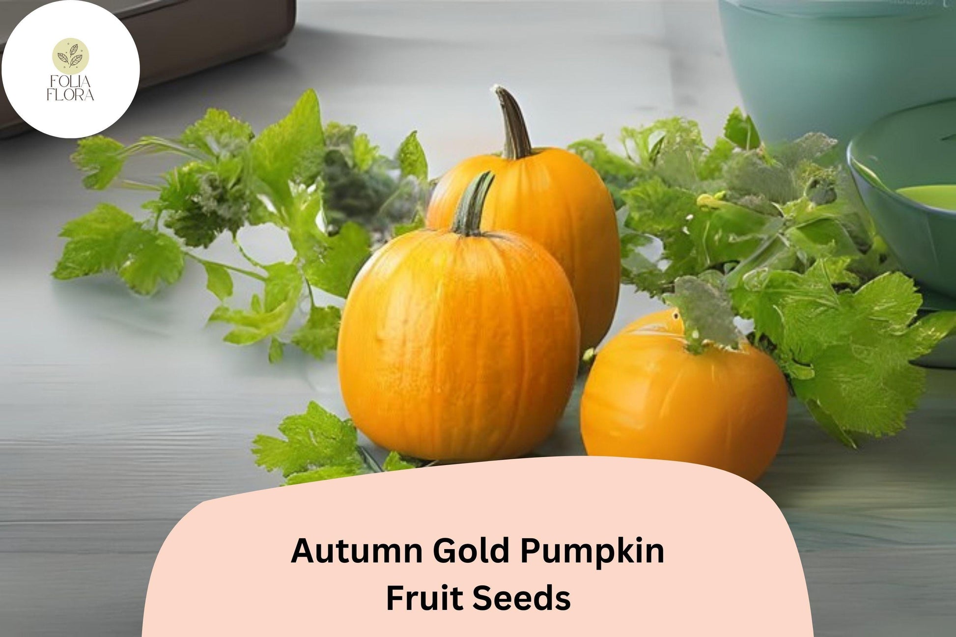 Autumn Gold Pumpkin Seeds | 25+ Seeds | Early Maturing Golden-Orange Fruits | Cucurbita pepo