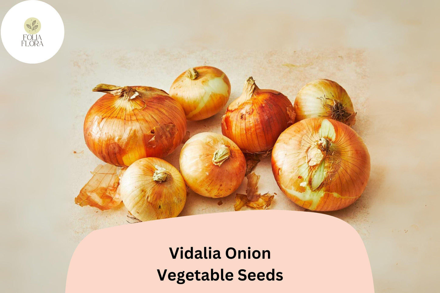 Vidalia Onion Seeds - 500+ Sweet Onion Seeds, Large Bulbs, Mild Flavor, Allium cepa for Gardening & Cooking