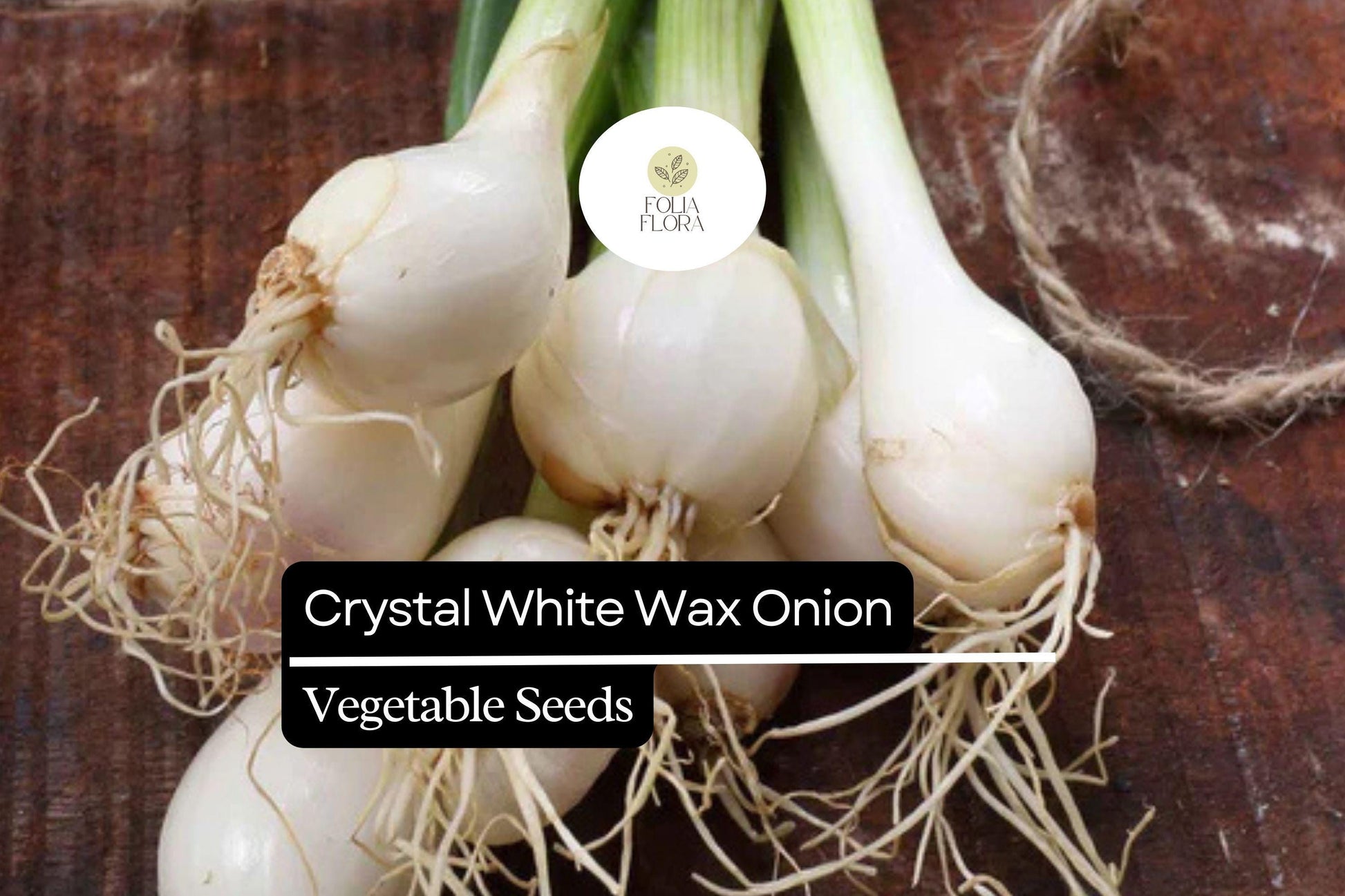 500+ Crystal White Wax Onion Seeds | Heirloom Pearl Onion | Allium cepa | Mild Flavor, Easy to Grow, Perfect for Pickling
