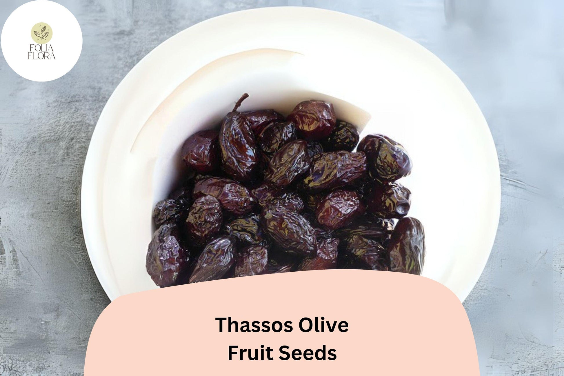 Thassos Olive Seeds (10+ Seeds) - Greek Heirloom Variety, Olea europaea, Ideal for Bonsai & Container Gardening, Drought-Tolerant