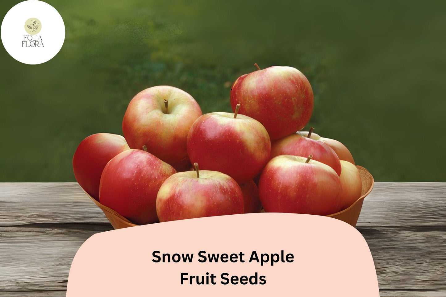 Snow Sweet Apple Seeds - 25+ Rare Heirloom Seeds (Malus domestica) for Home Orchard - Sweet Flavor, Crisp Texture