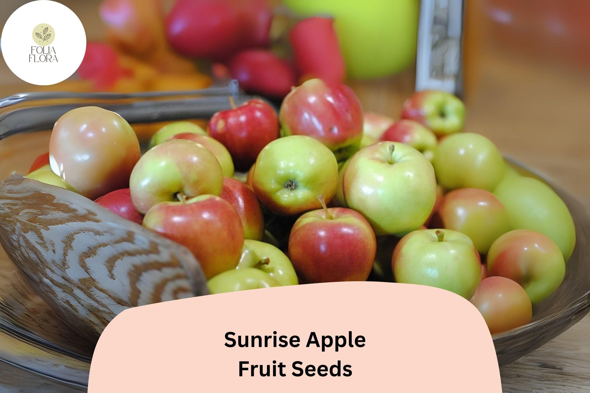 Sunrise Apple Seeds | 25+ Seeds | Sweet Juicy Variety | Malus domestica | Early Season Apples for Home Garden