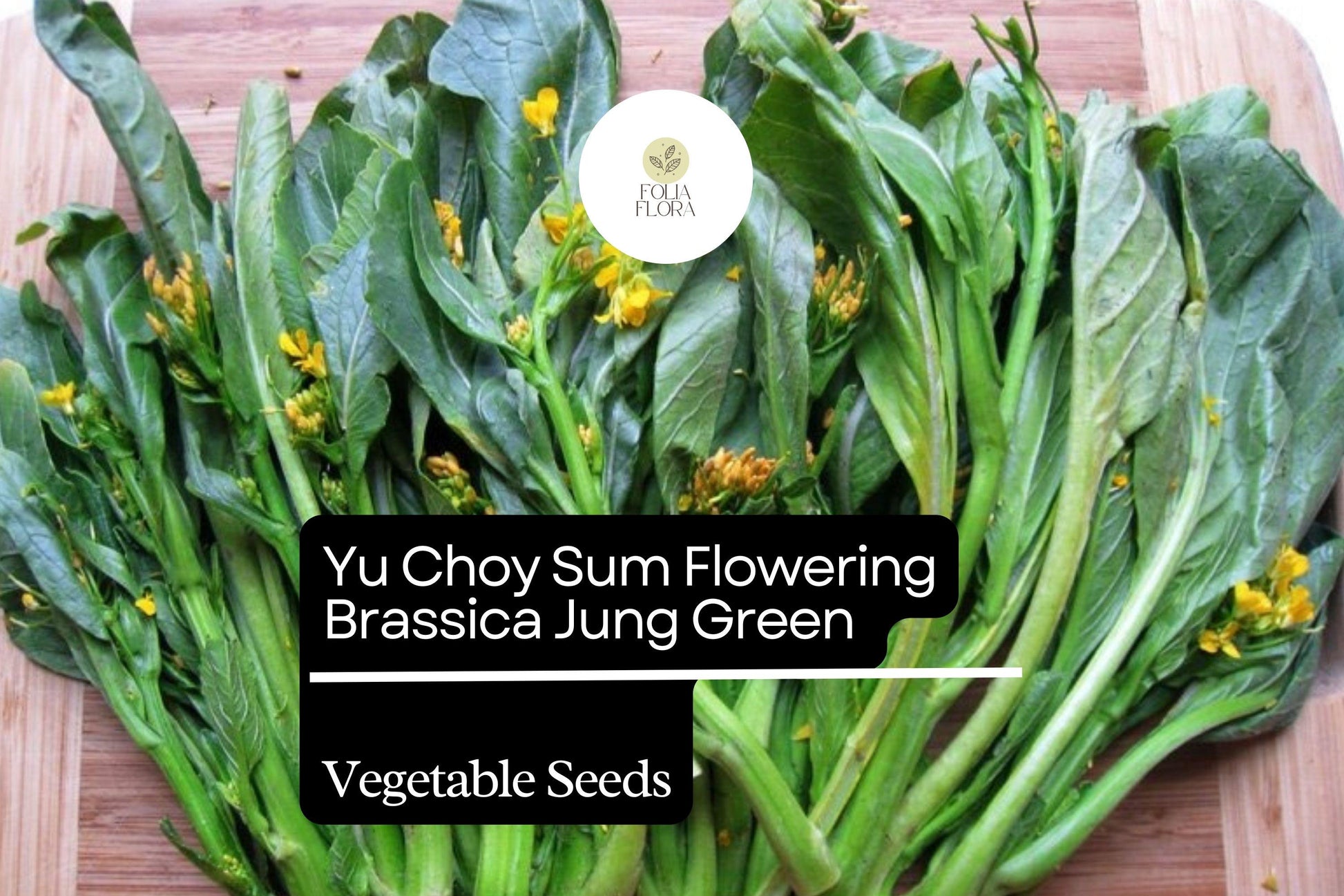 Choy Sum Cabbage Seeds - 500+ Brassica rapa var. parachinensis - Asian Greens for Garden Planting, Tender Stems & Edible Flowers
