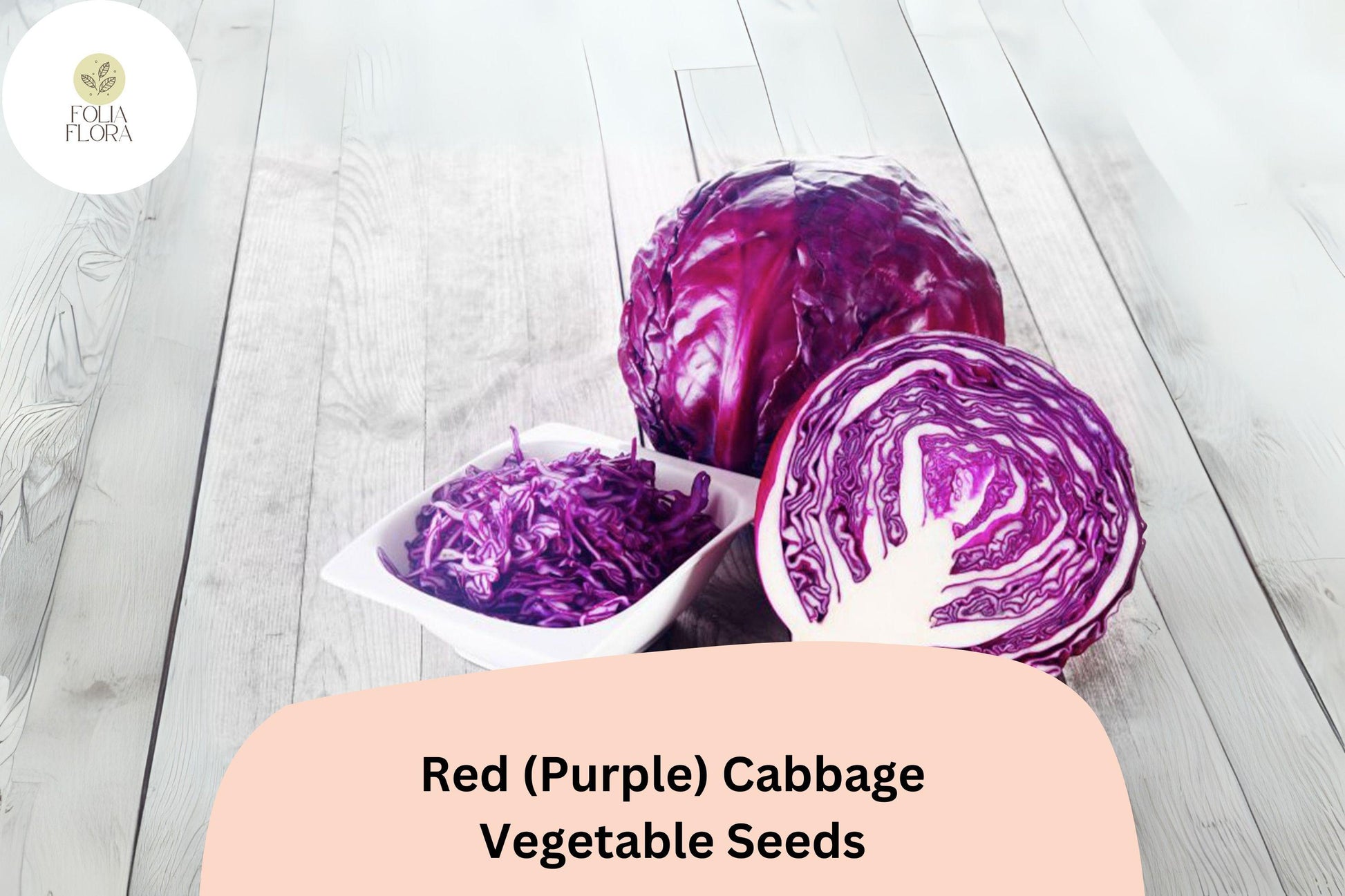 Heirloom Red Cabbage Seeds | 500+ Bulk Pack | Brassica oleracea | Vibrant Purple Cabbage for Gardens and Cooking