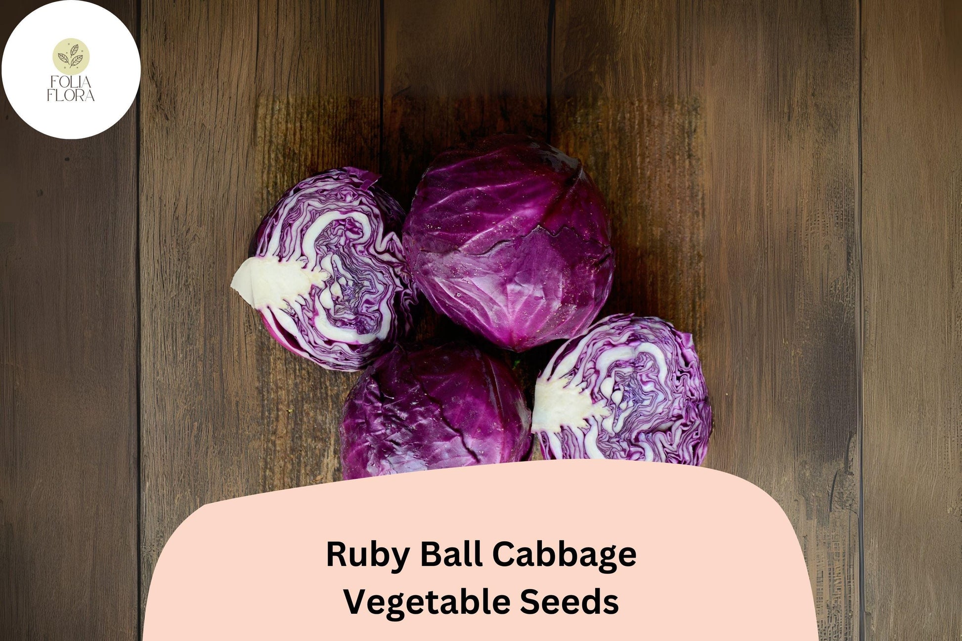 Ruby Ball Cabbage Seeds - 500+ Heirloom Ruby-Red Vegetable Seeds (Brassica oleracea) for Home Gardens and Cooking