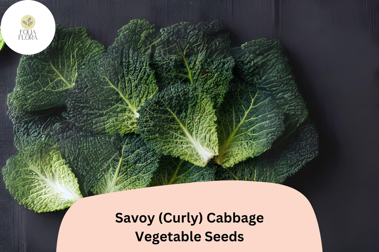 Savoy Cabbage Seeds - 500+ Bulk Heirloom Curly-Leaf Seeds for Garden Planting - Brassica oleracea, Green, Cool-Season Variety