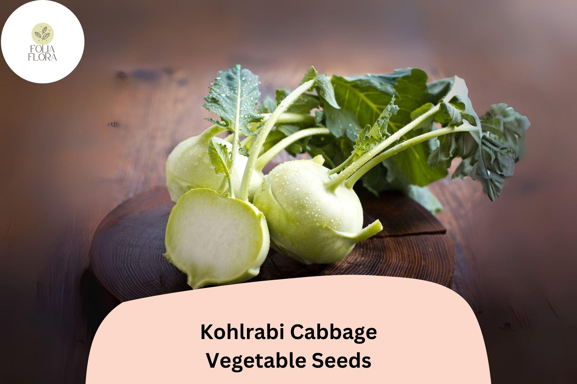 500+ Kohlrabi Seeds | Brassica oleracea | Heirloom Cabbage Family Vegetable | Bulk Planting Seeds for Home Garden
