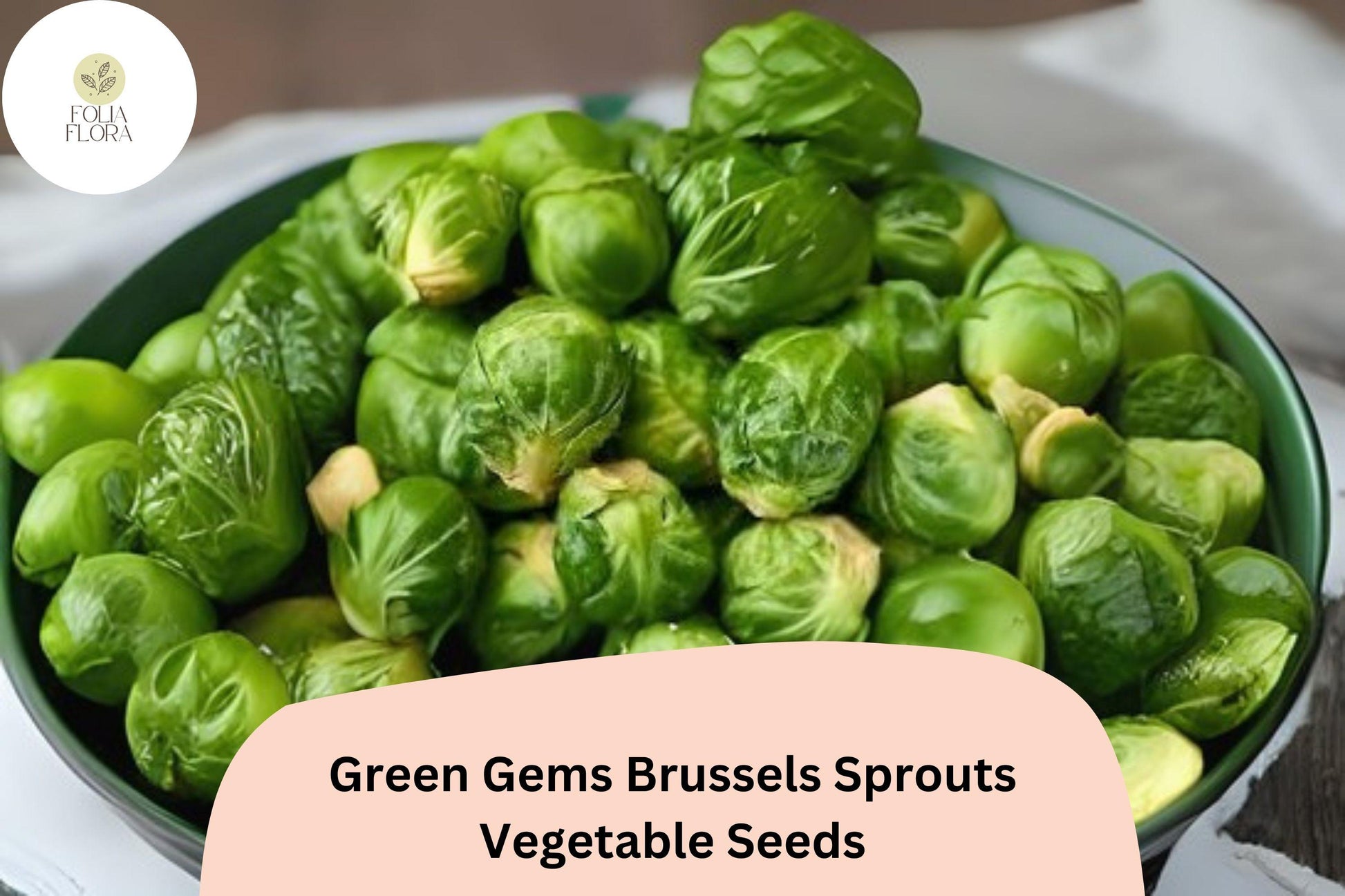 500+ Green Gems Brussels Sprout Seeds | Hybrid, Flavorful Brassica oleracea | Compact Growth for Home Gardens