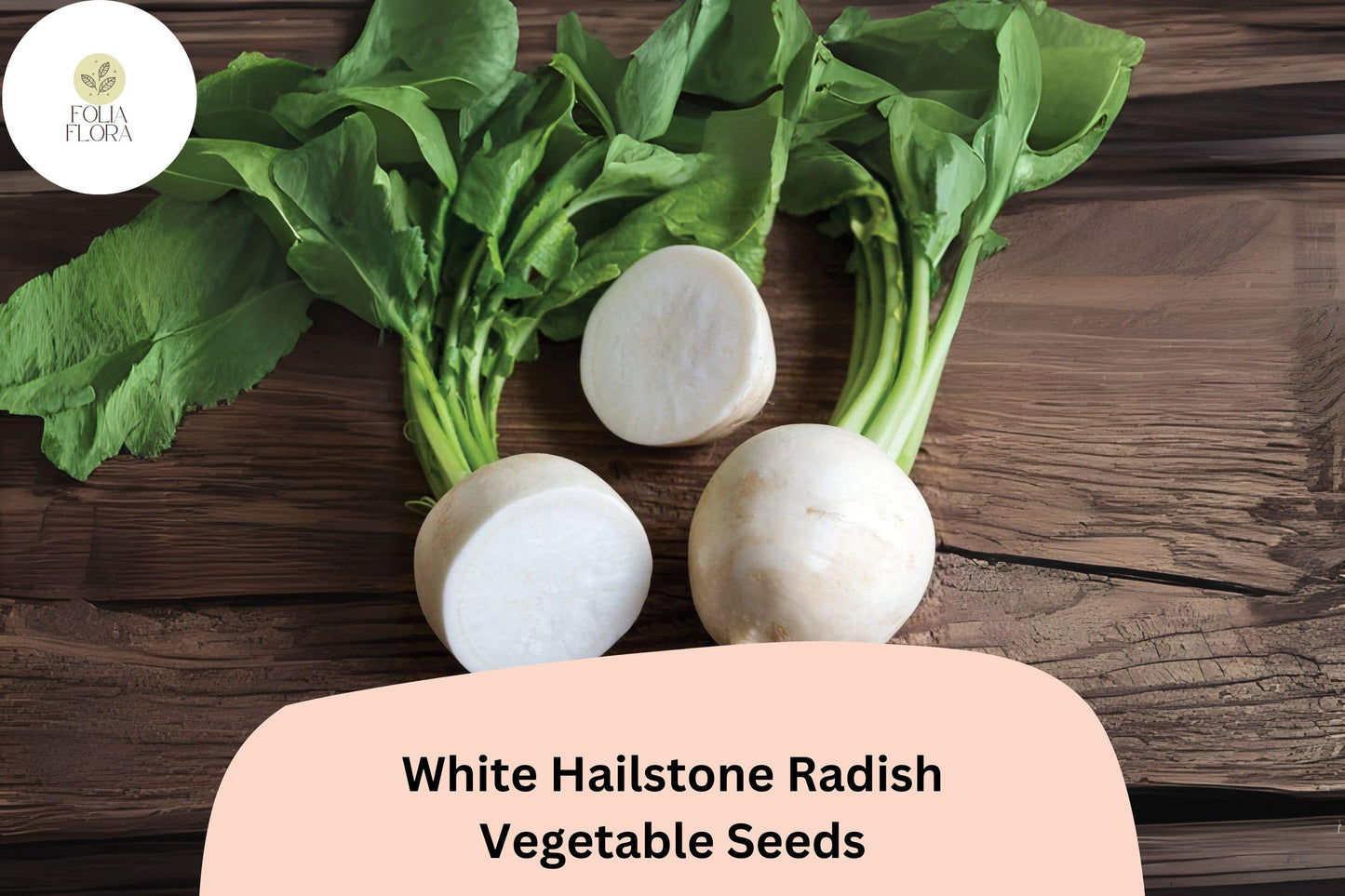 White Hailstone Radish Seeds - 500+ Heirloom Non-GMO Round White (Raphanus sativus) - Crisp Flavor for Salads