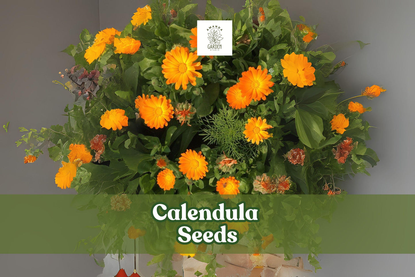 250 Calendula Seeds - Pacific Beauty Mix - Colorful Ornamental Flowers - Calendula officinalis - Made in USA