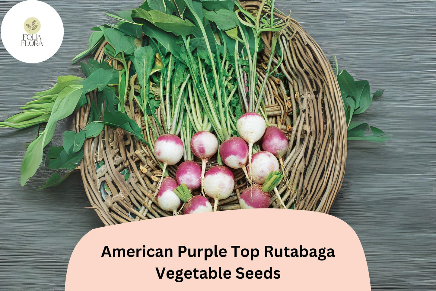 500+ American Purple Top Rutabaga Seeds - Heirloom Brassica napobrassica - Non-GMO Cool-Season Root Vegetable for Planting