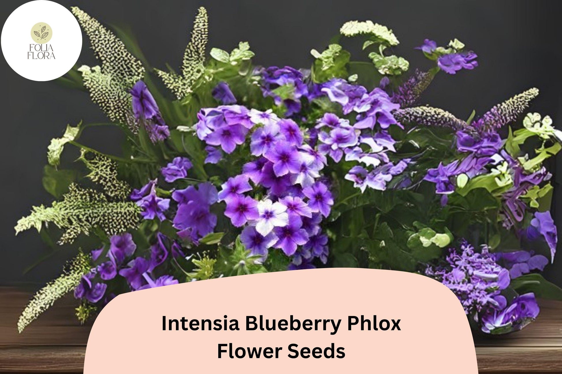 Intensia Blueberry Phlox Seeds - 100+ Non-GMO Purple-Blue Blooms - Phlox hybrida - Attracts Butterflies, Great for Borders & Containers