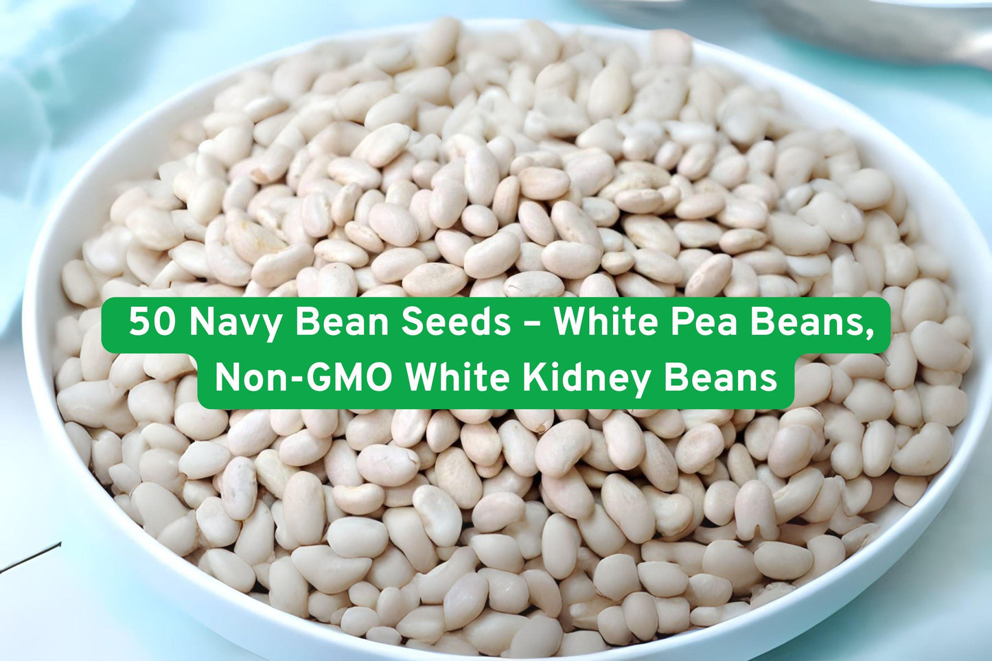50 Non-GMO Navy Bean Seeds | Heirloom White Pea Beans | Phaseolus vulgaris | Ideal for Canning & Fresh Eating