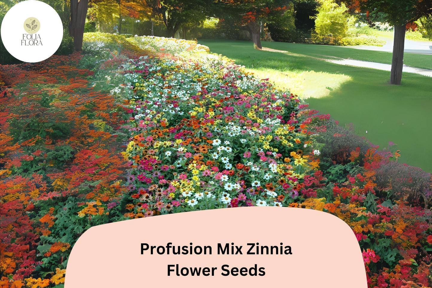 Zinnia Seeds - 100+ Profusion Mix - Multicolor Blooms - Pollinator Friendly - Zinnia elegans - Easy to Grow Annuals